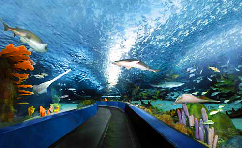 Things to do in Charleston on Memorial Day