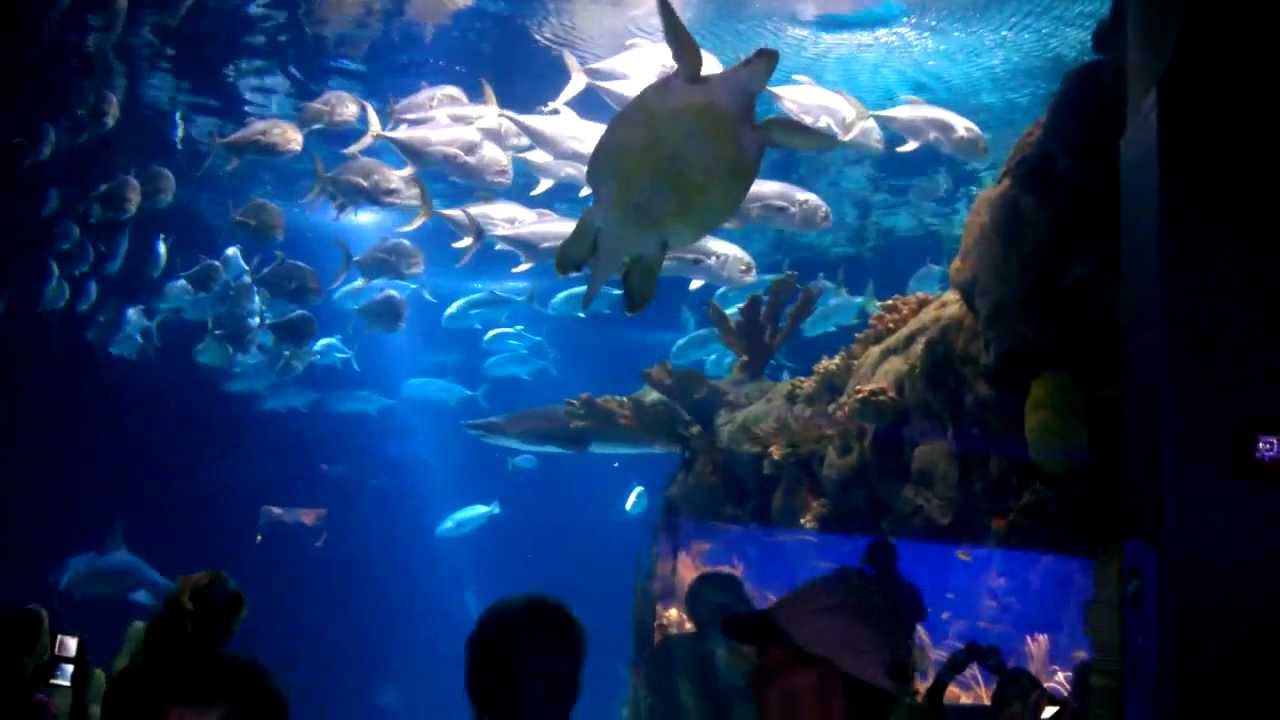 Things to do in Omaha on Memorial Day