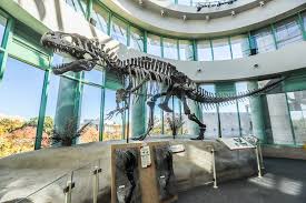 Things to do in Raleigh on Memorial Day