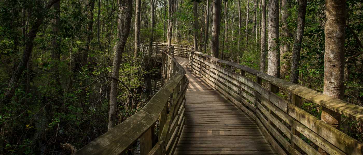 Things to do in Virginia Beach on Memorial Day