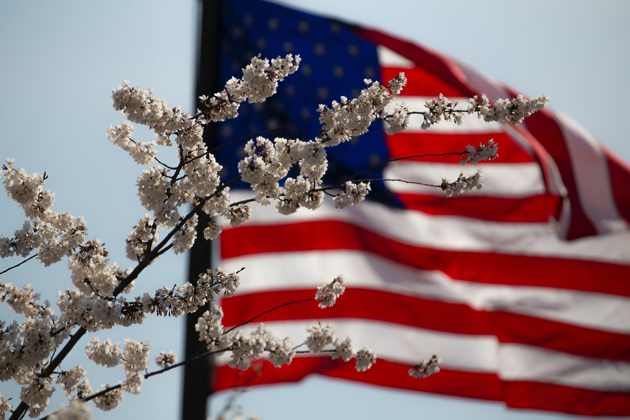 Flag of the USA